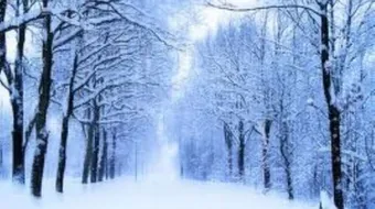 عبارات جميلة عن فصل الشتاء