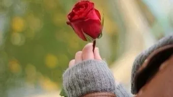 أقوال وحكم جميلة عن الحياة