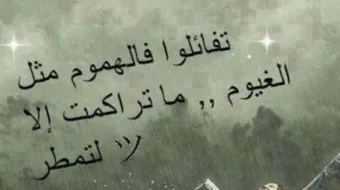 كلام جميل وكلام معقول