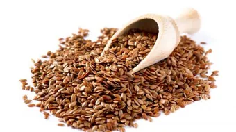 فوائد وأضرار بذرة الكتان