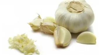 فوائد وأضرار الثوم