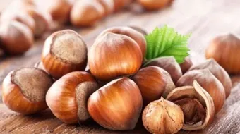 فوائد ومضار البندق