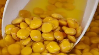 فوائد الترمس للحامل