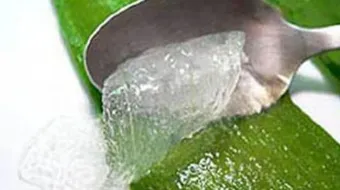 فوائد الصبار للشعر الخفيف