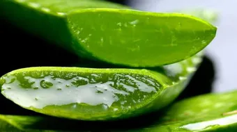 فوائد الصبار للبشرة الدهنية