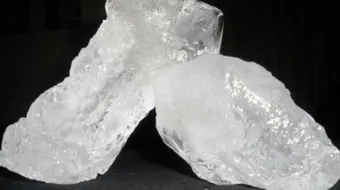 فوائد شب الفؤاد