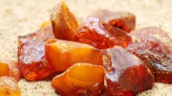 فوائد عنبر الحوت