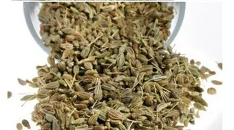 فوائد زيت اليانسون للقمل