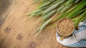 فوائد الشعير للإنسان