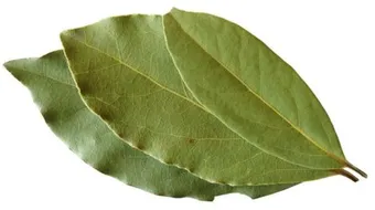 فوائد ورق الغار للبشرة