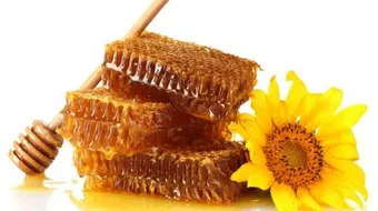 فوائد النحل والعسل