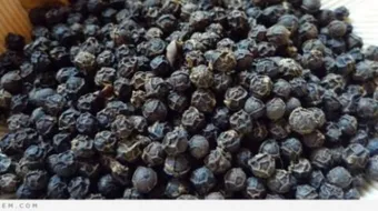 فوائد الفلفل الأسود مع الحليب