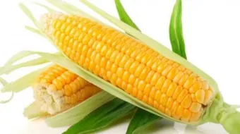 فوائد الذرة المسلوقة للرجيم