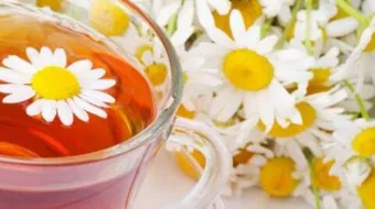 فوائد البابونج للنفاس