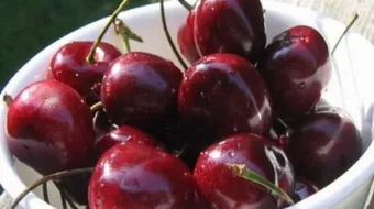 فوائد الكرز للحامل