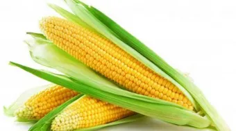 فوائد الذرة للرجيم