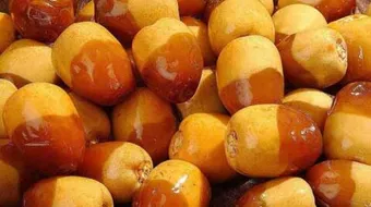 فوائد التمر والرطب