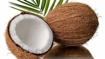 فوائد جوز الهند المجفف