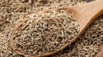 فوائد شرب اليانسون