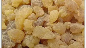 فوائد شرب المر على الريق