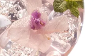 فوائد شرب ماء الزهر