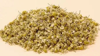 فوائد شرب البابونج للتنحيف