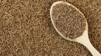 فوائد شرب الكمون وقت الدورة