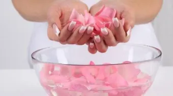 فوائد شرب ماء الورد للحامل