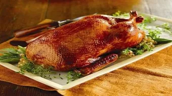 فوائد لحم البط