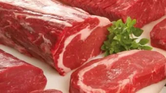 فوائد أكل لحم الإبل