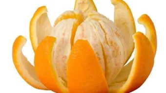 فوائد أكل قشر البرتقال