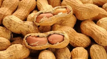 فوائد أكل الفول السوداني للحامل