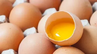 فوائد زلال البيض