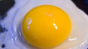 فوائد صفار البيض