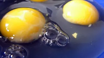 فوائد صفار البيض للشعر