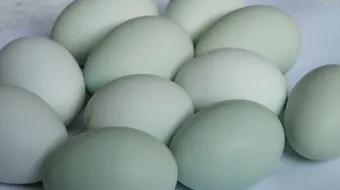 فوائد البيض للبشرة