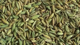 فوائد الشمر للقولون