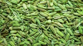 فوائد الشمر للكرش