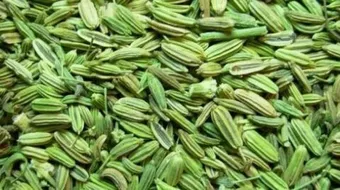 فوائد الشمر للرحم