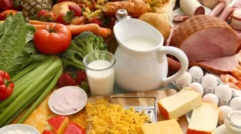 فوائد الغذاء والتغذية