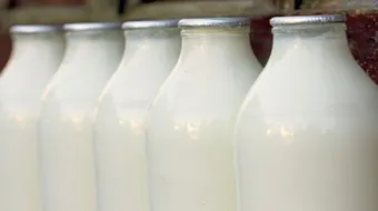 فوائد الحليب الطازج