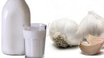فوائد الثوم مع اللبن