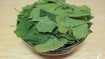 فوائد ورق العنب للتخسيس