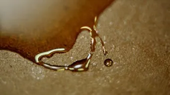 فوائد زيت بذور العنب