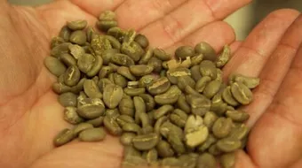 فوائد القهوة الخضراء