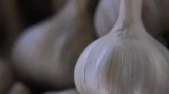 فوائد الثوم المطحون