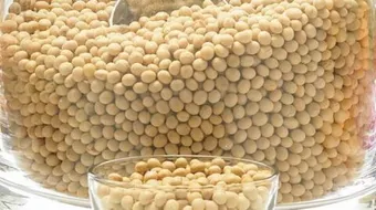 فوائد فول الصويا المطحون