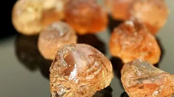 فوائد الصمغ العربي للحامل