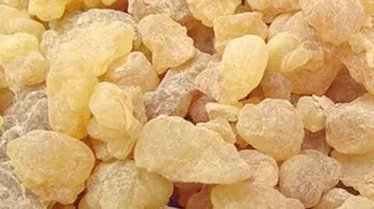 فوائد الصمغ العربي للسكر