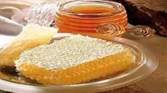 فوائد العسل مع غذاء ملكات النحل